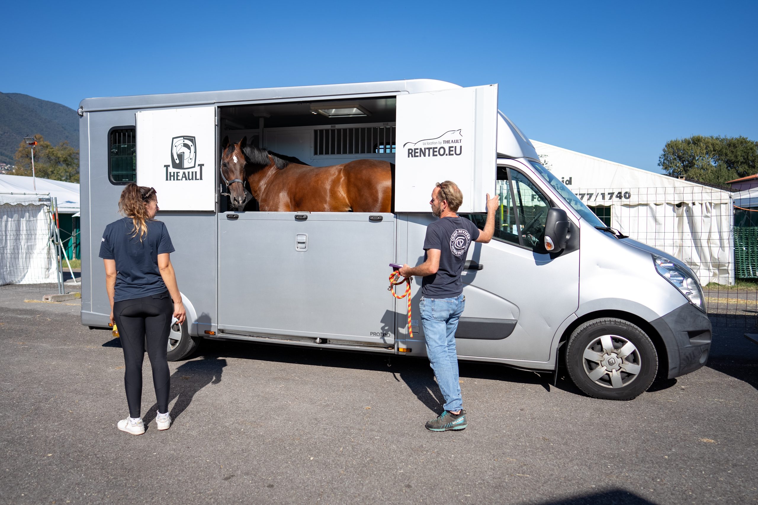 HORSE ARRIVAL 